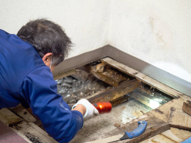 Best Crawl Space Mold Removal  in Hummelstown, PA