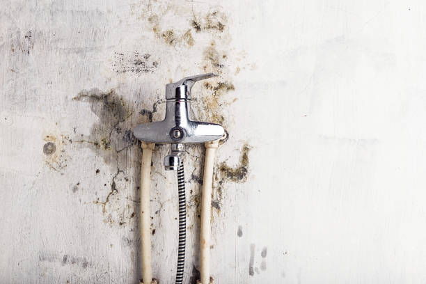 Best Mold Inspection  in Hummelstown, PA