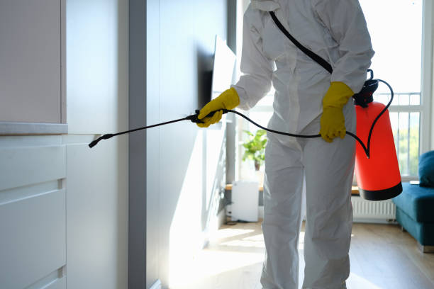 Best Home Mold Removal  in Hummelstown, PA