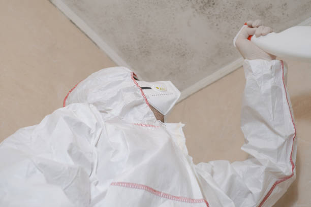 Best Attic Mold Removal  in Hummelstown, PA